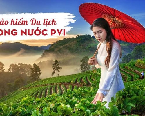 bảo hiểm du lịch trong nước